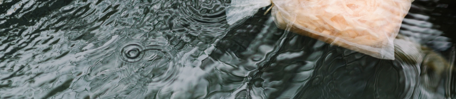 お盆休みのお知らせと (4)